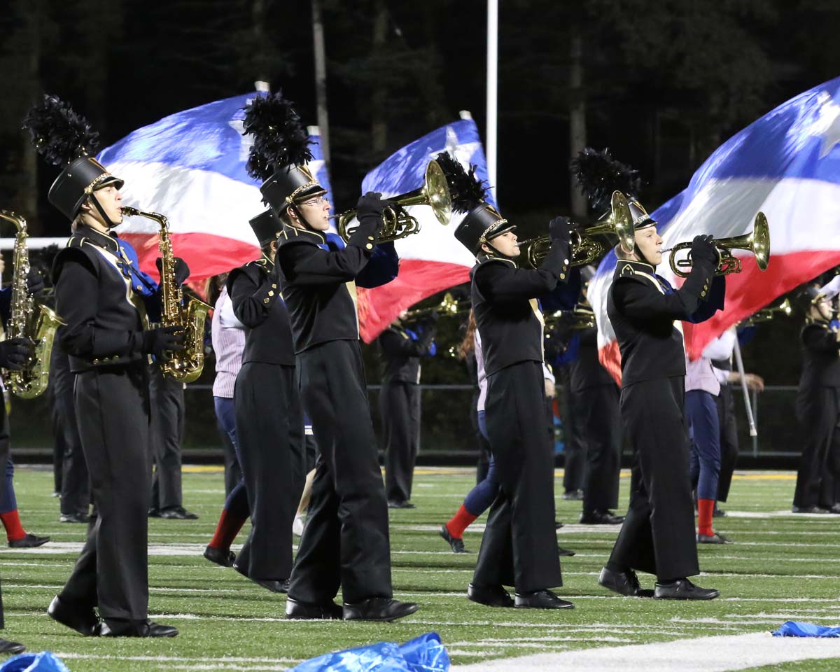 Hastings Marching Band with flags